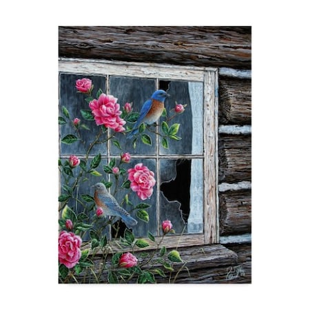 Jeff Tift 'Roses Bluebirds' Canvas Art,18x24